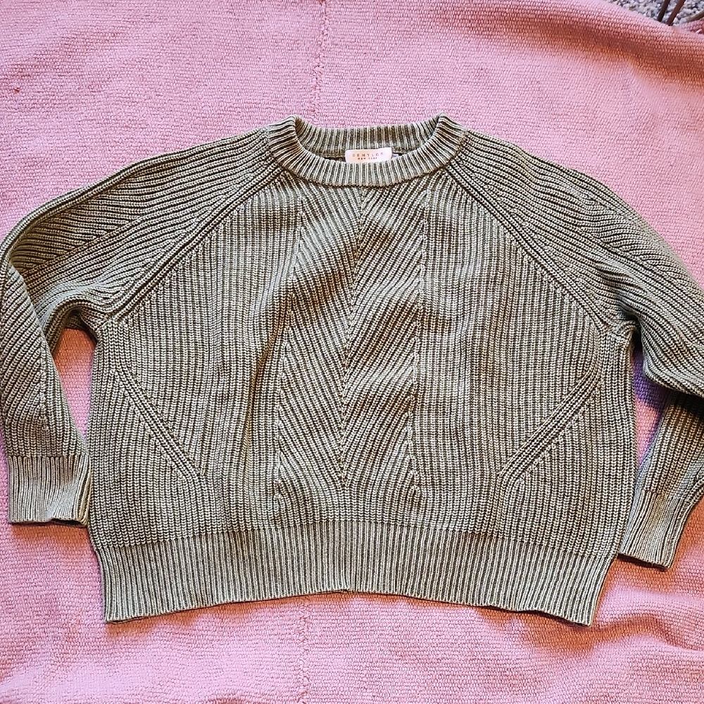 Demylee Cotton Chelsea Sweater In Green "Aloe"